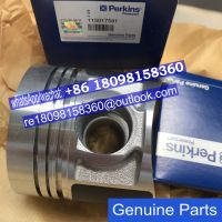 115017581 115017720 115017490 115017491 Perkins Piston kit for 403A-15 /404D-22 /400 series Genuine engine parts