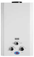 Flue type gas water heater with LCD display