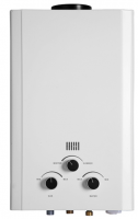 Flue type gas water heater