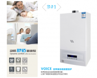 Wall mounted gas boiler