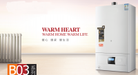 Wall mounted gas boiler