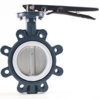 Sea Water Lug Type Butterfly Valve