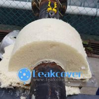 Flange corrosion Protection system