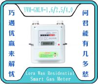 Residential Lora Wan Smart Gas Meter