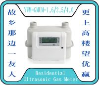 Residential Ultrasonic Gas Meter
