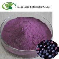 Supply Acai Berry Extract Powder 100% Water Soluble