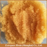 ion exchange resin