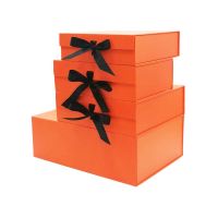 Custom Logo Luxury Cardboard Magnetic Folding