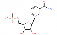 Beta-Nicotinamide Mononucleotide;NMN;Beta-D-NMN;NMN Zwitterion(CAS:1094-61-7)