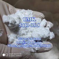 BMK Glycidate New BMK Glycidate Pmk Methyl Glycidate Liquid Powder Pmk CAS 13605-48-6/5413-05-8/16648-44-5/1451-82-7/10250-27-8