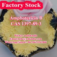 Antifungal Drug Amphotericin B 1397-89-3 with Safe Delivery