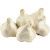Fresh Organic White Garlic 10kg / Carton. 10kg / Mesh