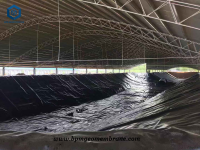 Geomembrane HDPE Pond Liner Material for Biogas Digester Project