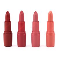 New Matte Lipstick for Women Sexy Brand Lips Color Cosmetics Waterproof Lipstick Long Lasting Lip stick Nude Makeup