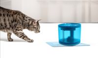 smart water dispenser for pet
