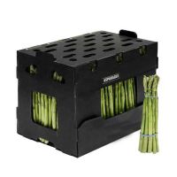 Custom Logo Foldable PP Coroplast Plastic Asparagus Packaging Box