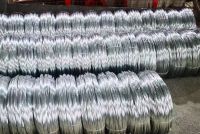 Galvanized wire