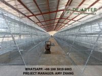 20000 birds layer chicken cage for sale in nigeria