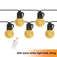 G40 Outdoor Warm White Crystal Bulb String