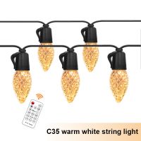 Outdoor Waterproof Warm White Strawberry String Light