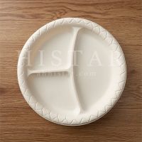 Environmentally friendly disposable biodegradable corn starch dinner plates