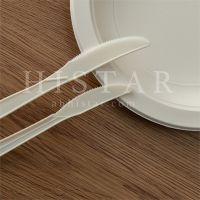 Wholesale disposable biodegradable food knife environmentally friendly dessert knife