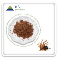 Cordyceps Mushroom Extract Powder