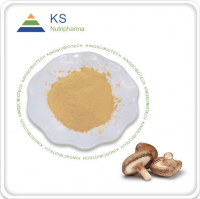 Shiitake Mushroom Extract Powder