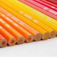 factory wholesale  Custom logo coloring pencils 12 18 24 36 48 pencil colors set for children