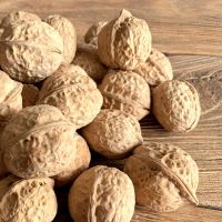 Wholesale Bulk Chineses Top Quality Organic 185 Dried Xinjiang Walnut