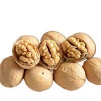 Wholesale Bulk Chineses Top Quality Organic 185 Dried Xinjiang Walnut