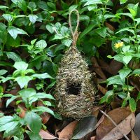 Handcrafted aviary