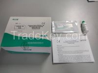 Product Recommendation of COVID-19 Neutralizing Antibody