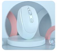 wireless mouse 2.4GHz rechargeable  factory wholesale delivery