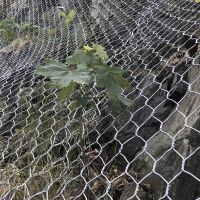 Stone Cage Net Wire Mesh Galvanized Gabion China Hexagonal Wire Mesh