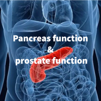 Sunlion In vitro diagnostic reagent large package OEM Pancreas function and prostate function