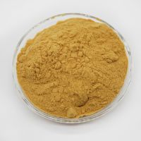 Pfs Drinking Grade Polyferric Sulfate Yellow Powder Pfs