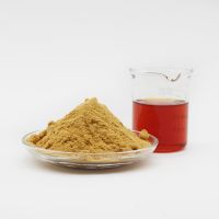 China Suppliers High Yield Flocculant Agent Polyferric Sulfate Pfs for Water Treatment