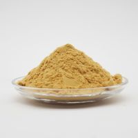 Top Quality 30% Food-Grade Powder PolyaluminiumChloride PAC