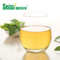 Factory Supply Natural and Multifunctional Peppermint Extract Powder for Health Care