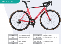 Mountain/road bicycle