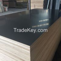 [Aceall Wood] Brown Black Film Faced Plywood