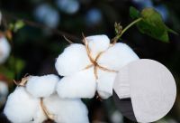 functional and innovative yarns