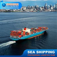 Sea Freight Shanghai To South Africa And Australia Ddp Dhl Sea Shippinghot Sale Products