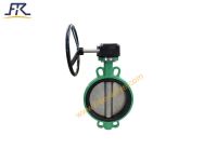 Gear Box Ductile Iron Wafer type Butterfly Valve