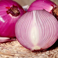 High Yield Purple Onion Seeds