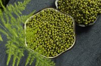 Mung bean