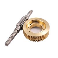 Customized Worm Gear Shaft Manufacturer Metal Machining Service High Precision SUS 304/316 Brass