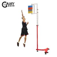 2021 Wholesale Skyboard Touch Cards Height Adjustable Basketball Training Vertical Jump Pole Jump Test Measurement Equipment