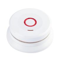 Smart Wifi Tuya Standalone Smoke Detector With En14604 Remote Monitoring Somke Alarm